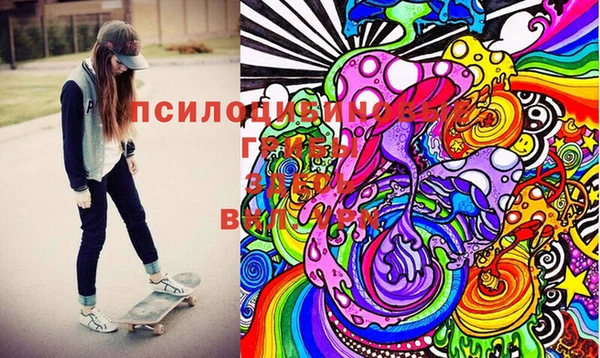 твердый Белокуриха