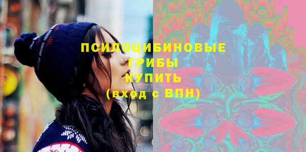 твердый Белокуриха