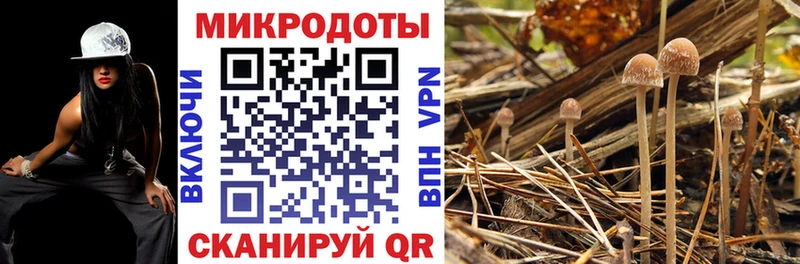 Псилоцибиновые грибы Magic Shrooms  гидра ССЫЛКА  Минусинск 